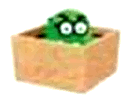Greg-in Greg-in