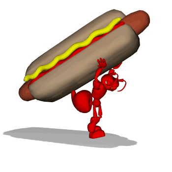 Ant Ant