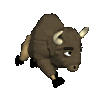 Buffalo