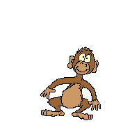Monkey Monkey