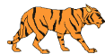 Tiger Tiger