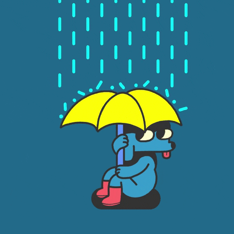 Umbrella Umbrella